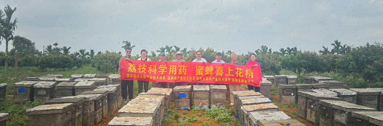 图1.jpg